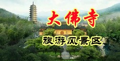 大jb操我好爽啊的视频中国浙江-新昌大佛寺旅游风景区
